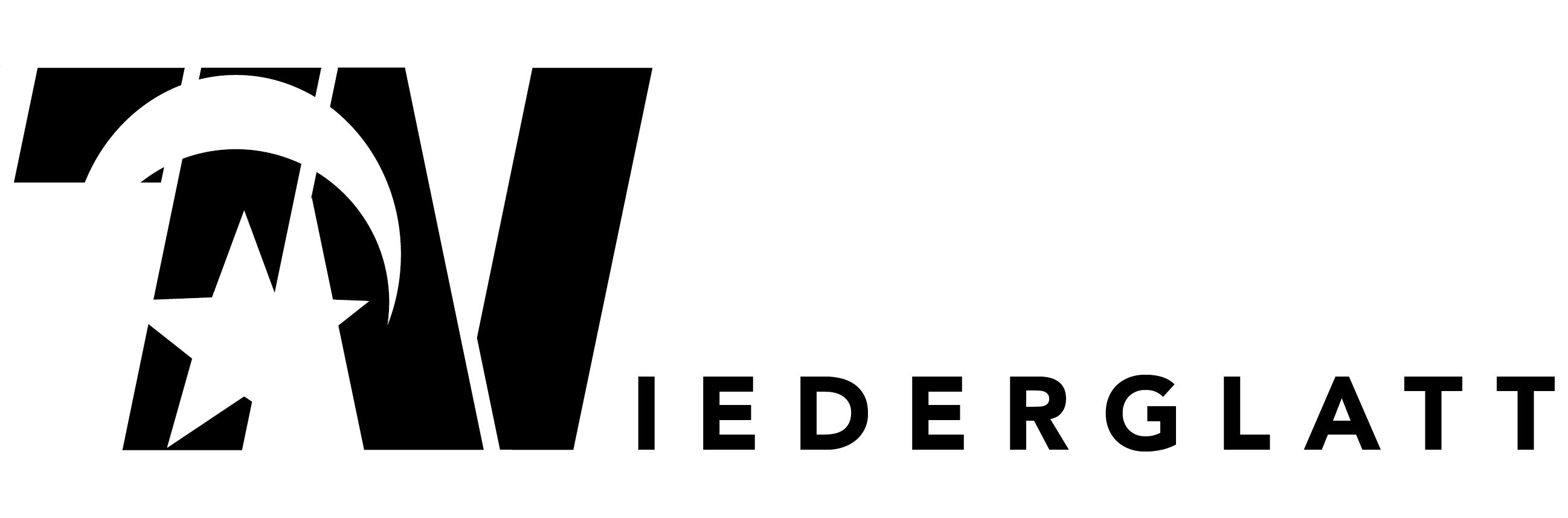 TVN Logo Quer (Schwarz Transparent)